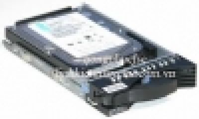40K1025 - Ổ Cứng IBM Hot-Swap 300Gb 10K SCSI U320